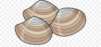 Clam Mussel Oyster Clip art - Clams Cliparts 