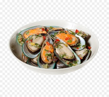 Clam Mussel Sashimi Seafood Perna viridis - Shell Features 