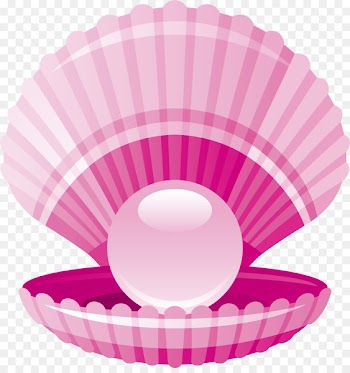 Clam Pearl Seashell - Pink fresh pearl shell 