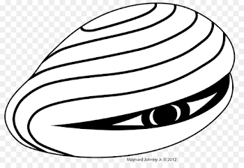 Clam Royalty-free Art Clip art - clams png download - 2577*1725 ...