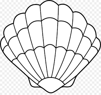 Clam Seashell Drawing Clip art - Ariel Outline Cliparts png ...