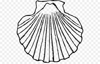 Clam Seashell Oyster Clip art - Clams Cliparts png download - 600 ...