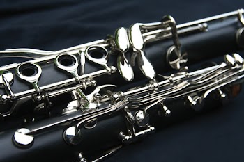 clarinetIMG_6824.jpg