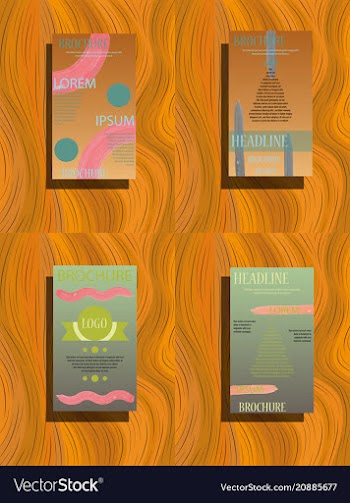 Classic brochure template design with shapes vector image