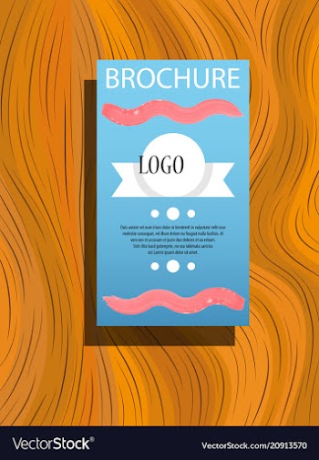 Classic brochure template design with shapes vector image
