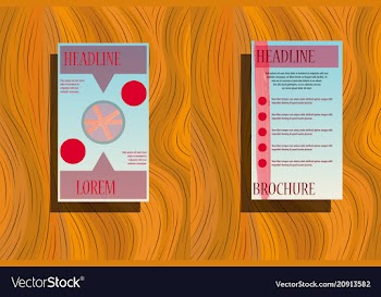 Classic brochure template design with shapes vector image