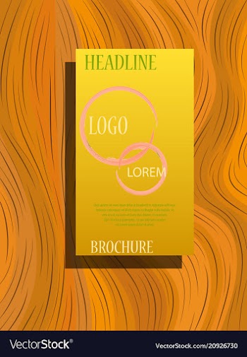 Classic brochure template design with shapes vector image
