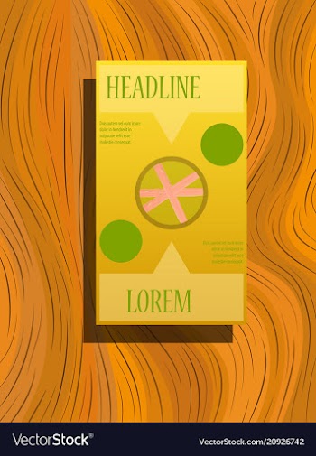 Classic brochure template design with shapes vector image