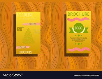 Classic brochure template design with shapes vector image