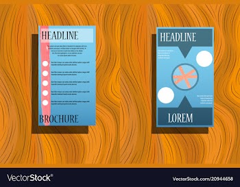 Classic brochure template design with shapes vector image
