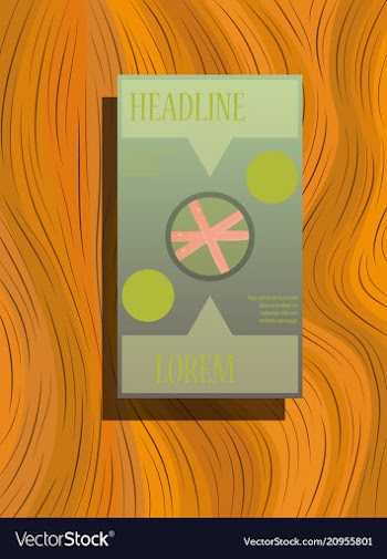 Classic brochure template design with shapes vector image