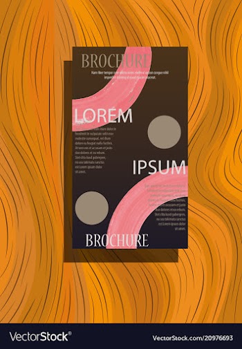 Classic brochure template design with shapes vector image