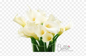 Classic Large White Calla Lily Flowers Are Simply Stunning - Wedding