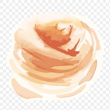 Classic orange rose png hand drawn watercolor flower