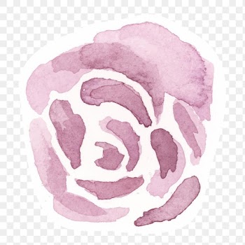 Classic pink rose png hand drawn watercolor flower