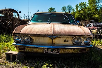 classic vehicle near green trees at daytime