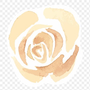 Classic yellow rose png hand drawn watercolor flower