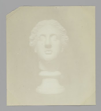 Classical Head | Free Photo - rawpixel