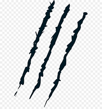 Claw Tiger Scratch Clip art - Scar PNG 