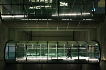 Clear and Black Tunnel Bridge