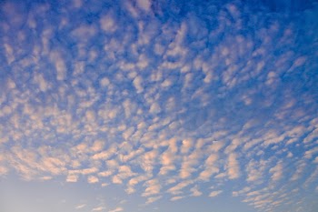 Clear Blue Sky