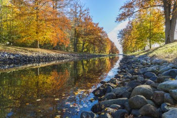 Clear Body of Water Between Yellow and Green Leaved Trees