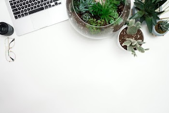 Clear Glass Fishbowl