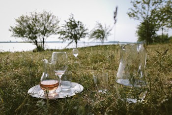 Clear Glass Pitcher and Wine Glass on Grass at Daytime