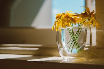 Clear Glass Vase On White Surface