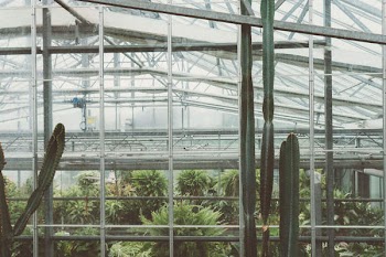 Clear Greenhouse