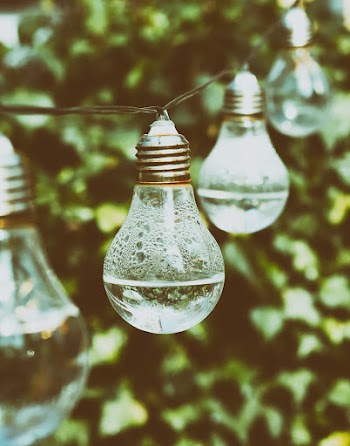Clear Light Bulb Decor Selective Photography