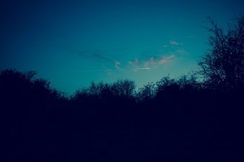          Clear Night Sky Free Photo     