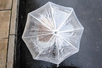 clear plastic umbrella
