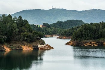 clear river surrounded by green leafed trees