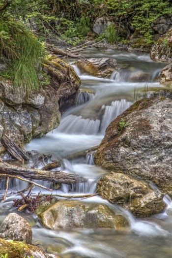 Clear Running Water in the Middle of Brown Stones