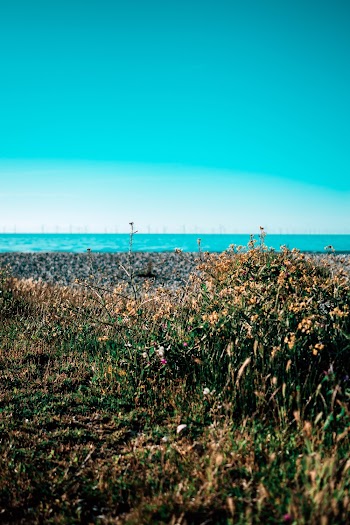 clear sky at the beach