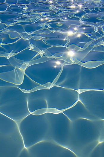 clear water in the swimming pool