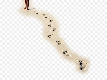 Clearwater On the Beach - Walking forward footprints 