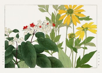 Clerodendrum & rudbeckia flower, Japanese | Free Photo Illustration - rawpixel