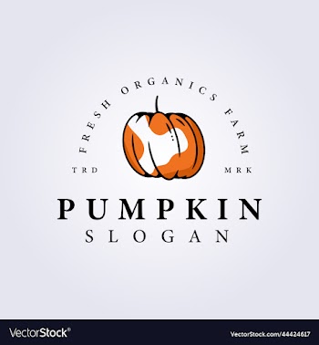 clever pumpkin line logo icon symbol