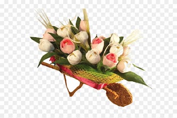 Click Pe Imagine Pentru Marire - Garden Roses