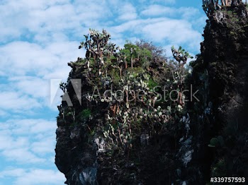 Cliff at the Gal√°pagos Islands