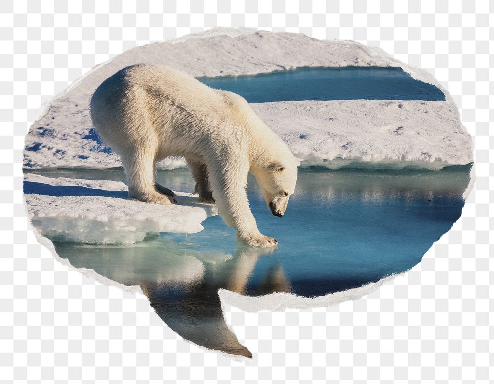 Climate change png paper speech | Free PNG - rawpixel