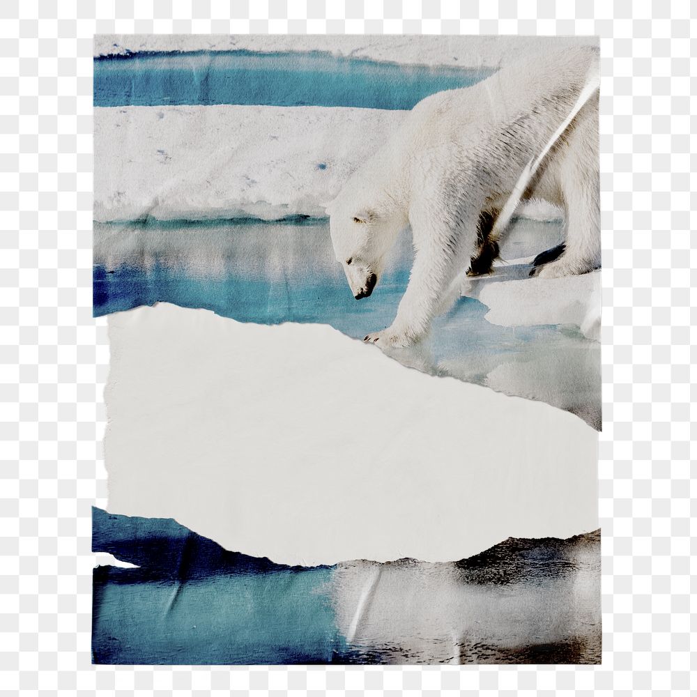Climate change png ripped poster, | Free PNG - rawpixel