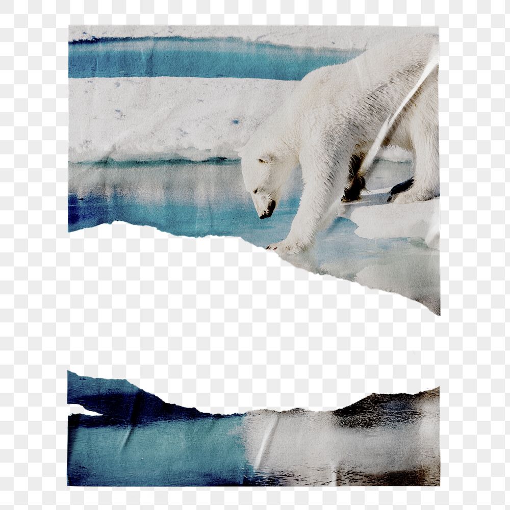 Climate change png ripped poster, | Free PNG - rawpixel