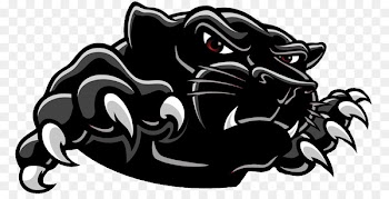 Clinch County High School, Carolina Panthers, Clinch County Elementary School, Logo, Fictional Character PNG