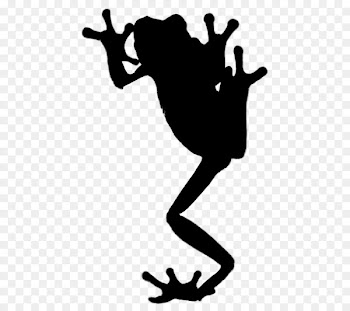 Clip art Amphibians Human behavior Shoe -  