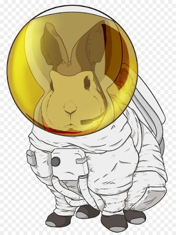 Clip art Astronaut Image Shirt Cat - astronaut 