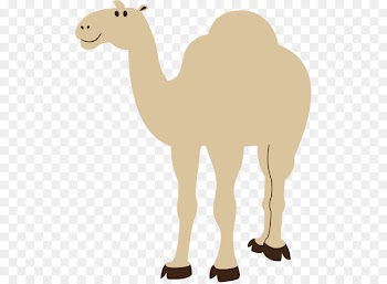 Clip art Bactrian camel Dromedary Image Free content -  
