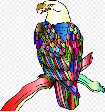 Clip art Bald eagle Bird Illustration - bird 